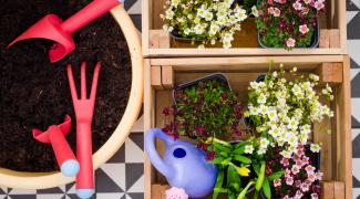 Faire du compost dans son jardin ou en appartement : efficace et naturel !