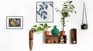Et si vous optiez pour une décoration écologique dans votre maison ?