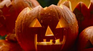 Décorer votre jardin pour Halloween : 5 idées pour frissonner…