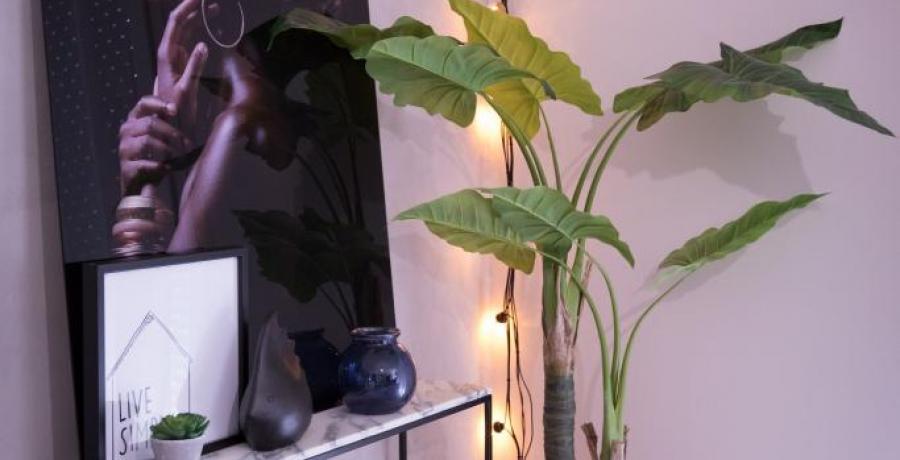 lumiere plante et tableau appartement familial