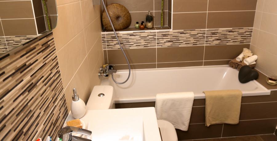 programme immobilier neuf à Sallenôves: les carrés du Francisque duplex-jardin salle de bain
