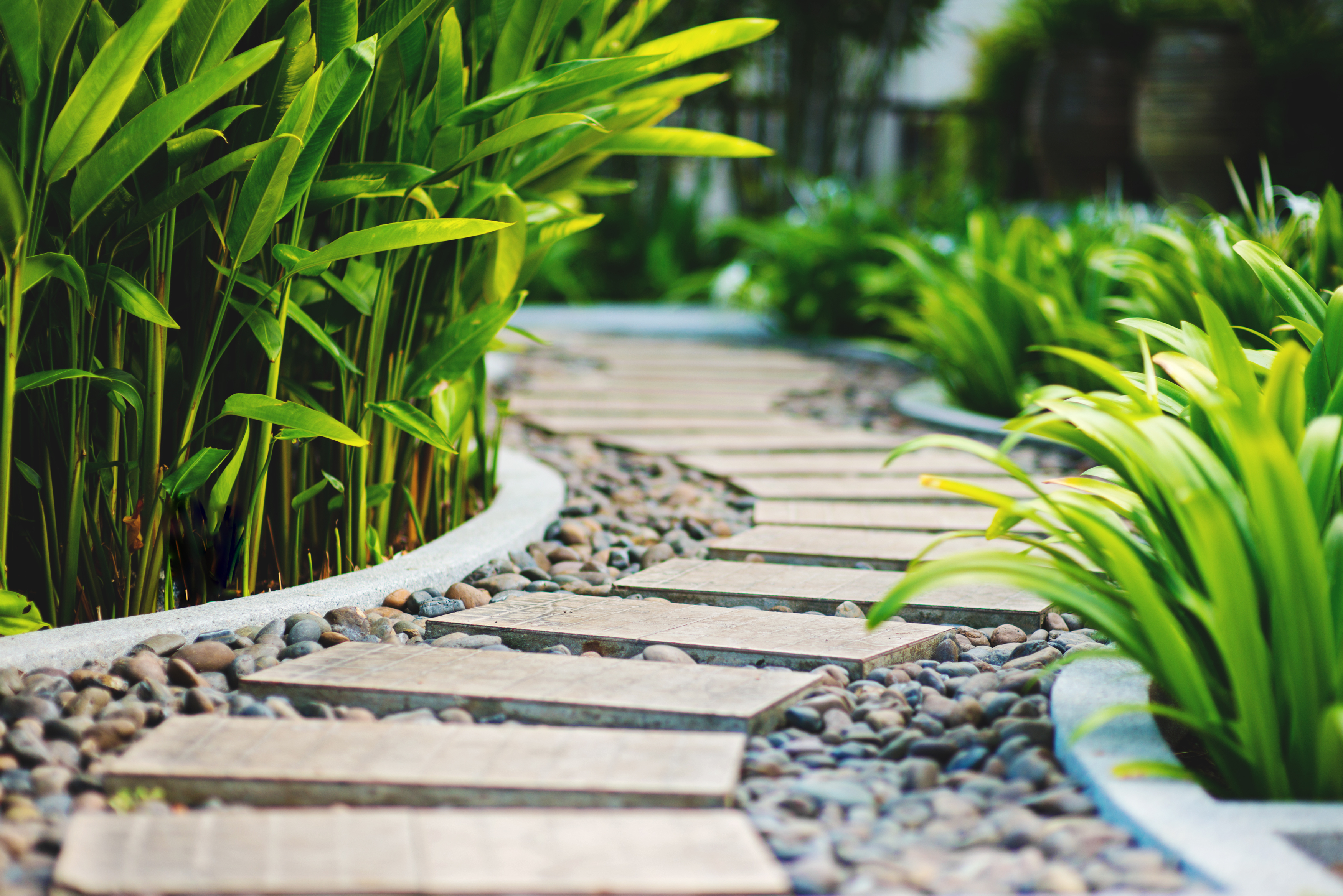 Aménagement jardin zen : créer un coin de paradis asiatique