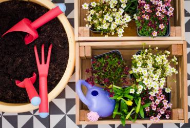 Faire du compost dans son jardin ou en appartement : efficace et naturel !