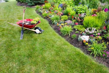 Créer un parterre de fleurs sans entretien