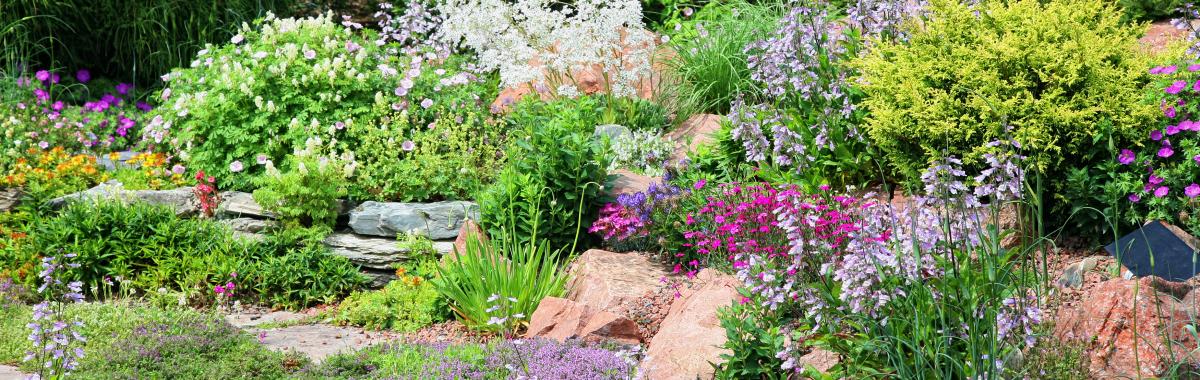 Allée de jardin : nos conseils pour la réaliser - Côté Maison