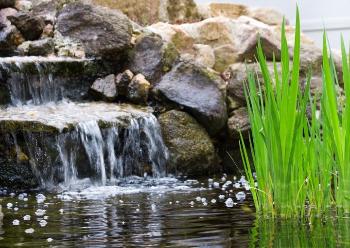amenagement jardin zen creer coin paradis asiatique eau