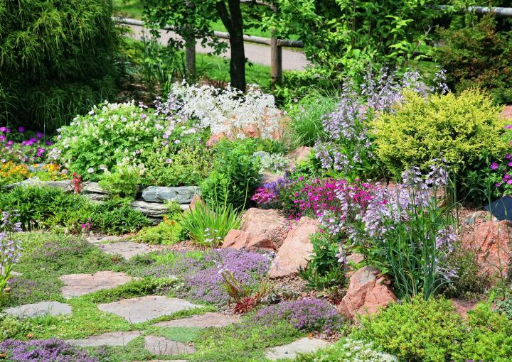 Faire un parterre de fleurs sans entretien : 7 astuces indispensables