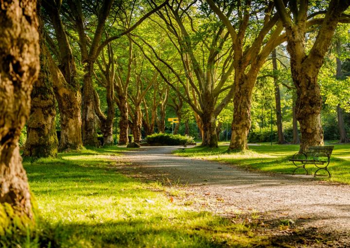 parc Annemasse