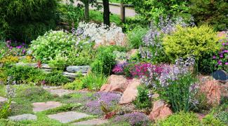 Mes 10 meilleures idées pour l’aménagement de votre allée de jardin