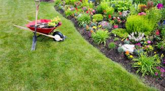 Créer un parterre de fleurs sans entretien