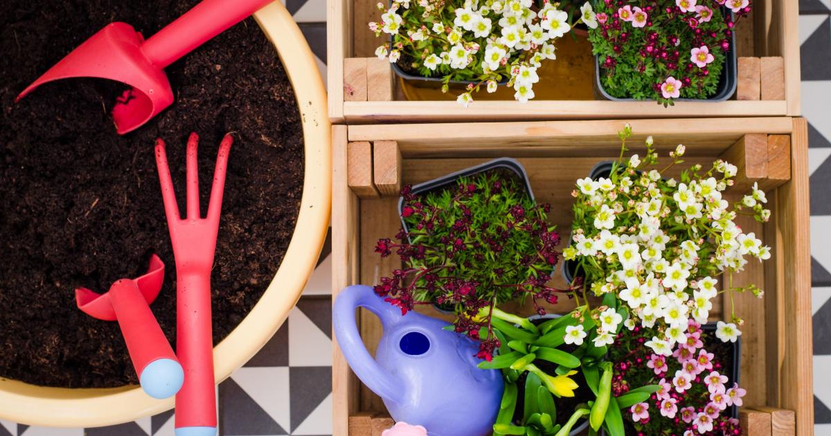 Cinq conseils pour vraiment réussir son compost
