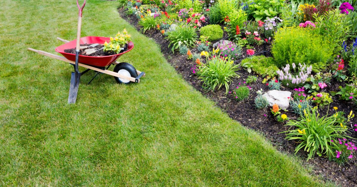 4 bonnes idées pour mettre en valeur les bordures, allées et parterres du  jardin