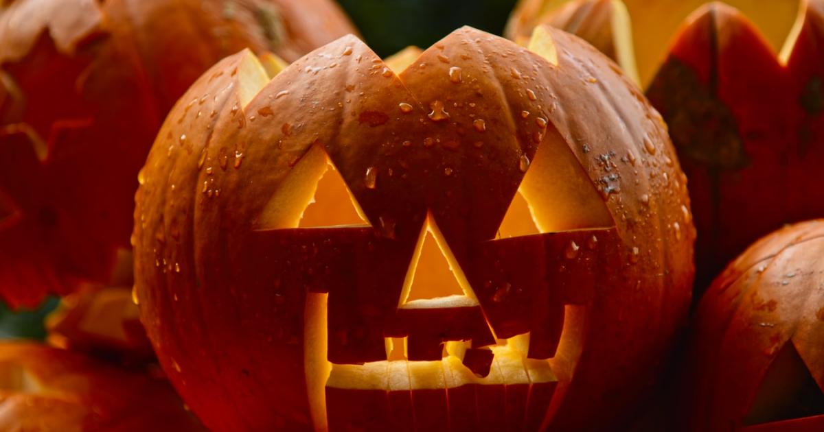 Decoration De Jardin Halloween Decorez Votre Exterieur