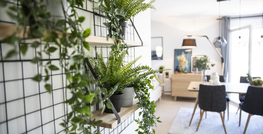 amenagement cuisine duplex astuces tendances plante