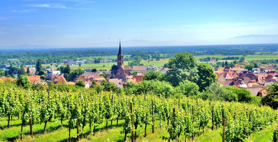 Paysage Alsace