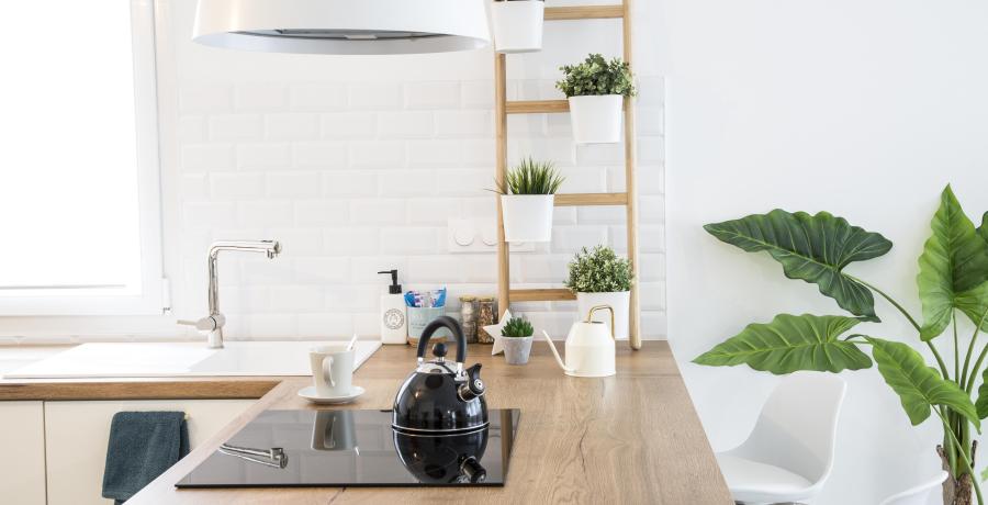 programme immobilier neuf à ensisheim : les carrés arborea, duplex-jardin cuisine
