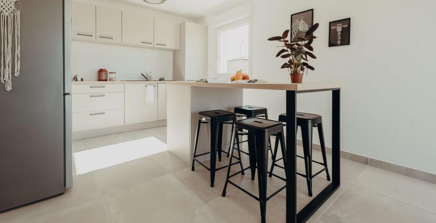 programme immobilier neuf duplex jardin aux auxons 